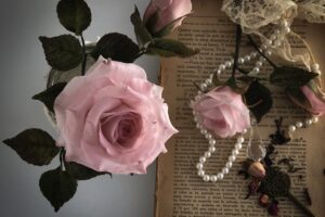 on line rosas